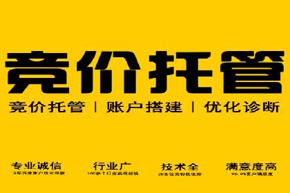 竞价托管服务中的挑战与机遇